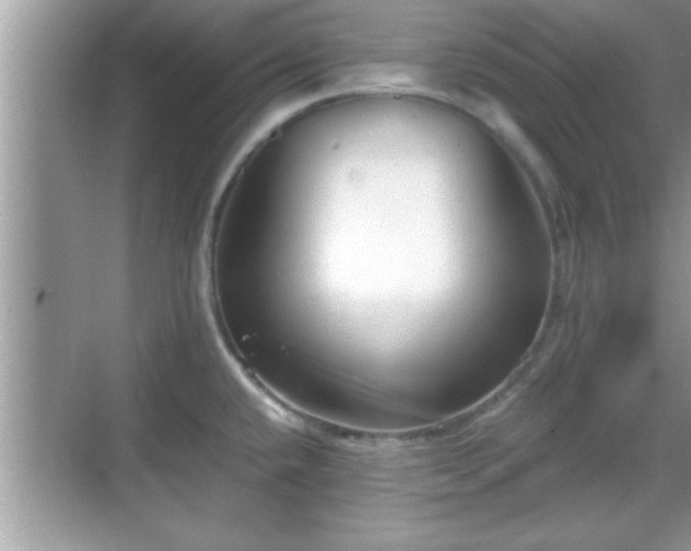 X0000069361432200605150905