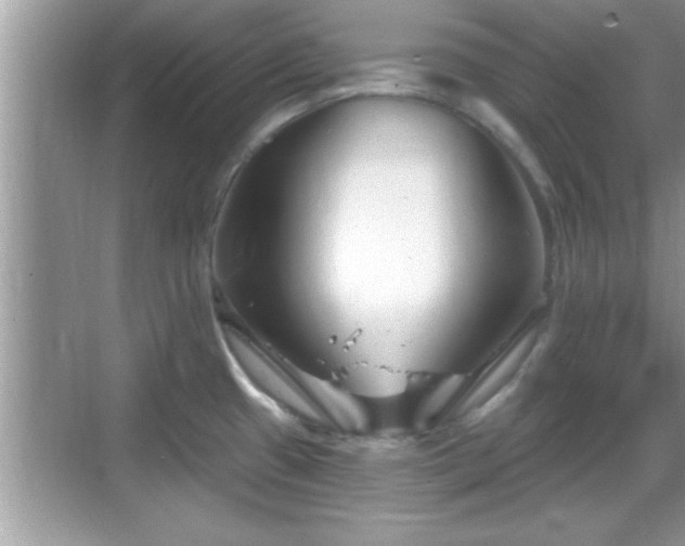 X0000069361433200605150905