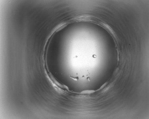 X0000069361434200605150905