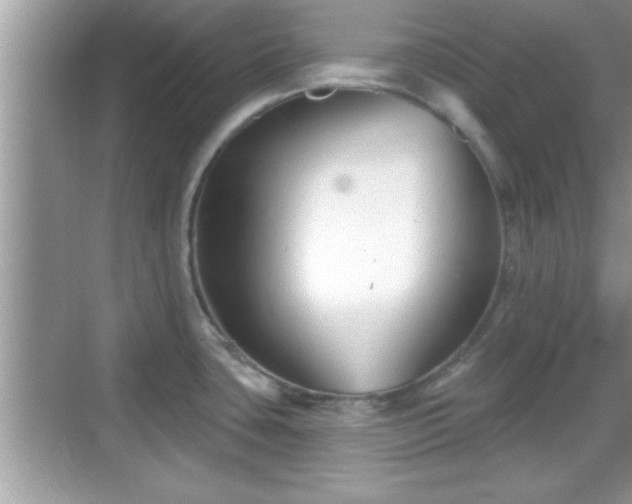 X0000069361435200605150905