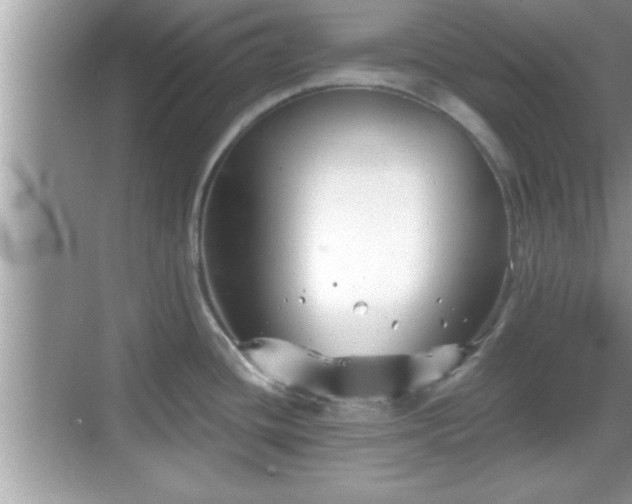 X0000069361436200605150905