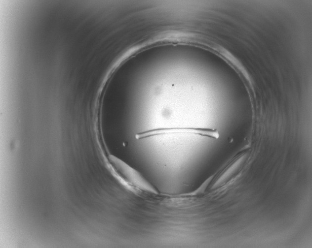 X0000069361437200605150905