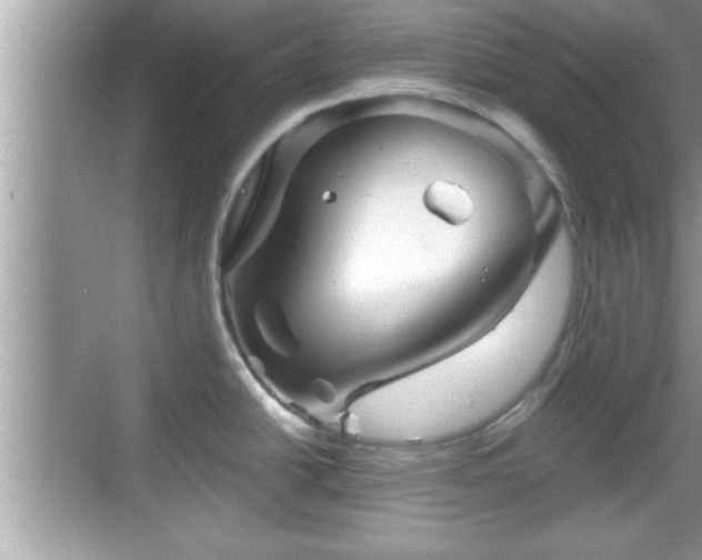 X0000069361438200605150905