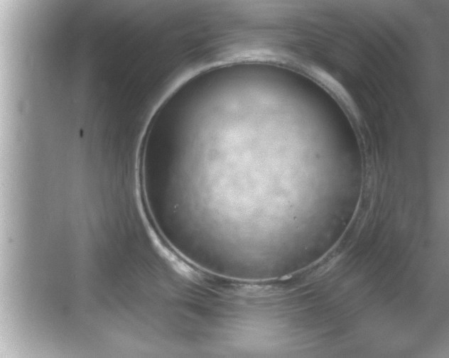 X0000069361439200605150905