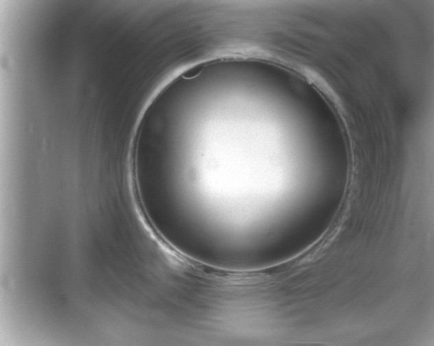 X0000069361440200605150905