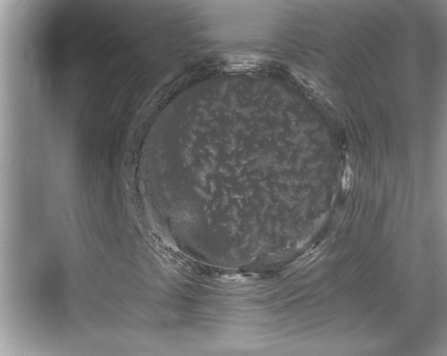 X0000069361441200605150904