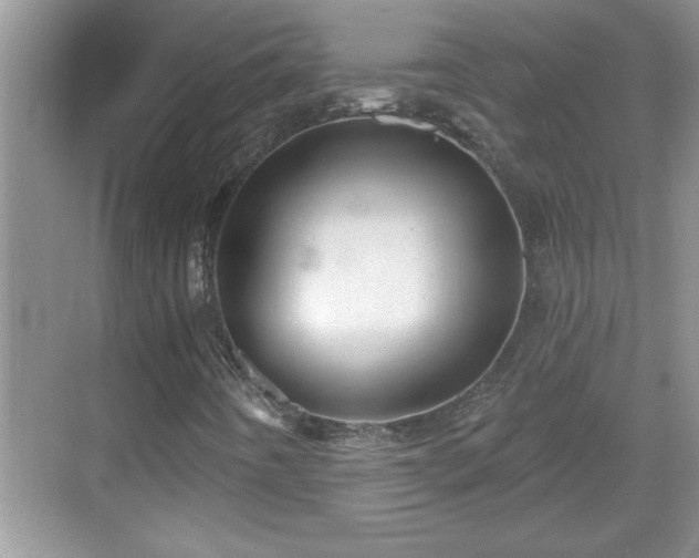 X0000069361442200605150904