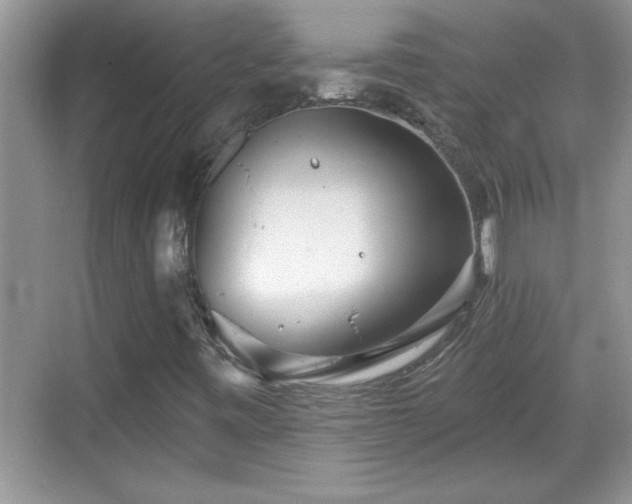 X0000069361443200605150904