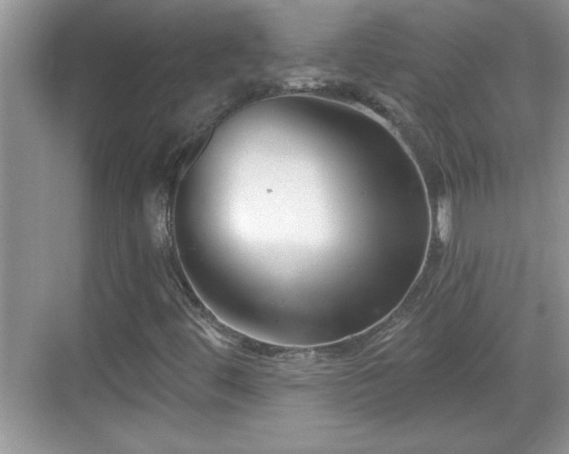 X0000069361444200605150904