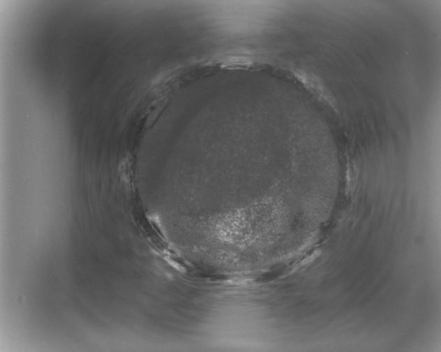 X0000069361445200605150904