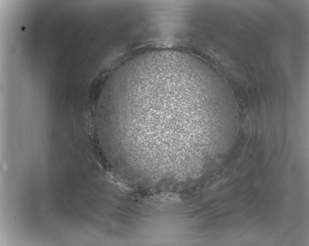 X0000069361446200605150904