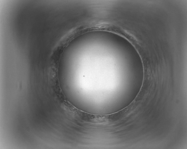 X0000069361447200605150904