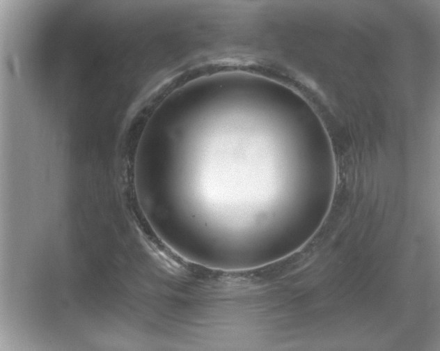 X0000069361448200605150904