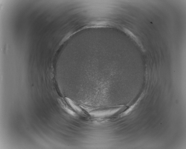 X0000069361449200605150904