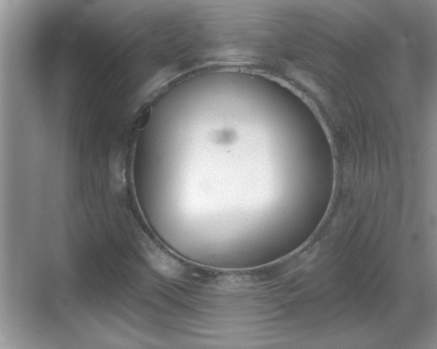 X0000069361451200605150904