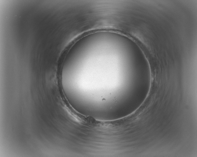 X0000069361452200605150904