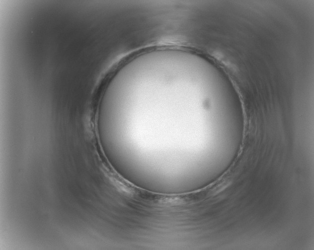 X0000069361454200605150904