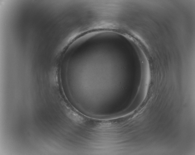 X0000069361455200605150904