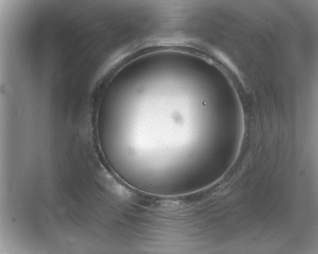 X0000069361456200605150904