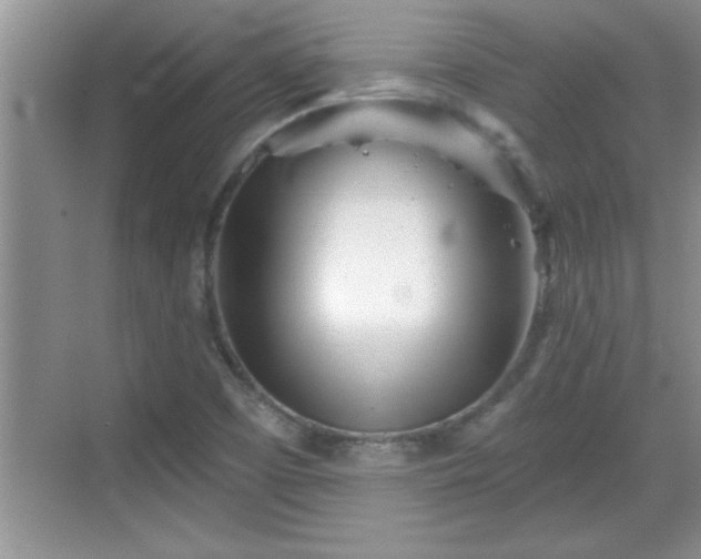 X0000069361457200605150904