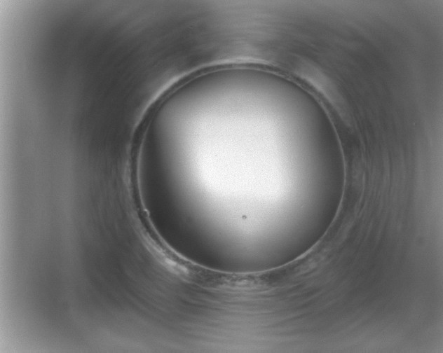 X0000069361460200605150904