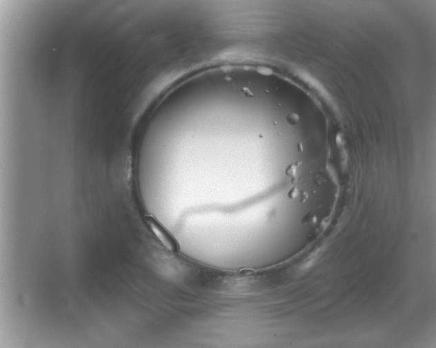 X0000069361461200605150904