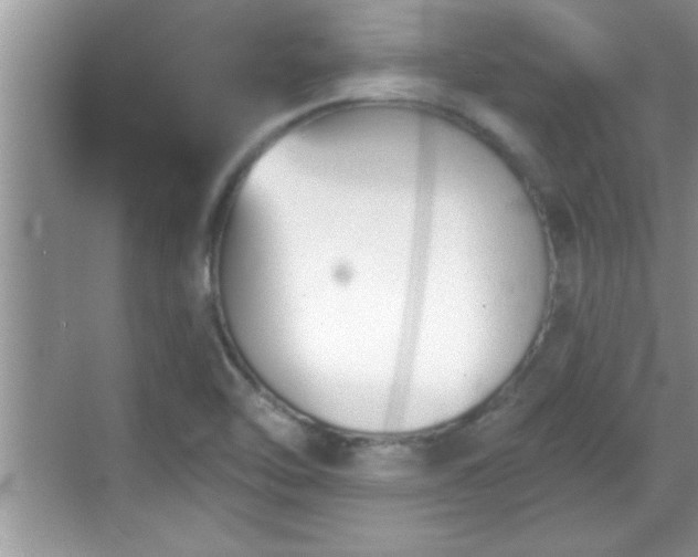 X0000069361462200605150904