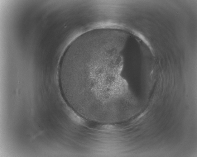 X0000069361463200605150904