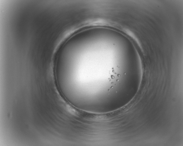 X0000069361464200605150904