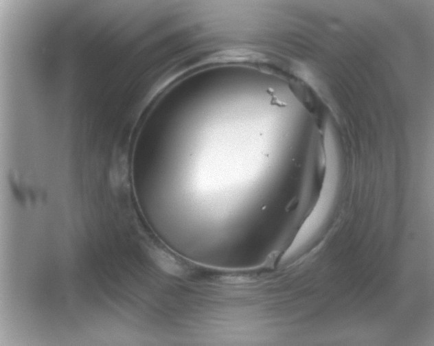 X0000069361465200605150904