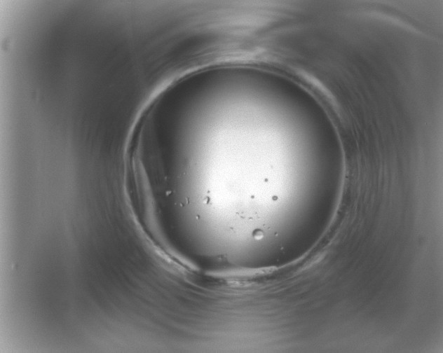 X0000069361467200605150904