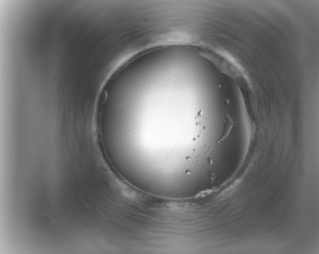 X0000069361469200605150904