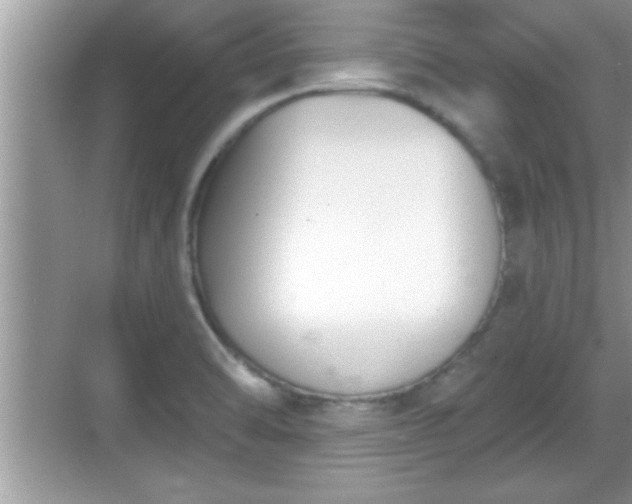 X0000069361470200605150904