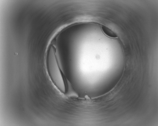 X0000069361472200605150904