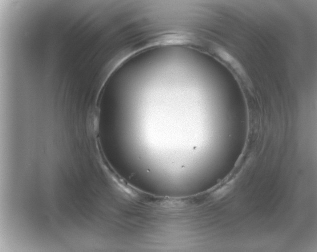 X0000069361473200605150904