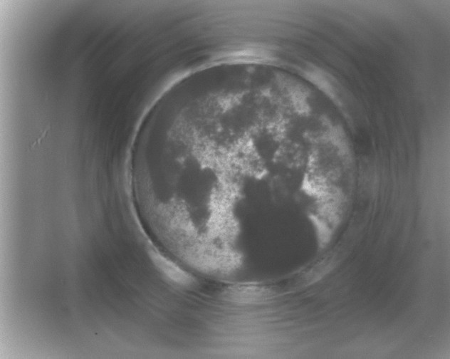 X0000069361474200605150904