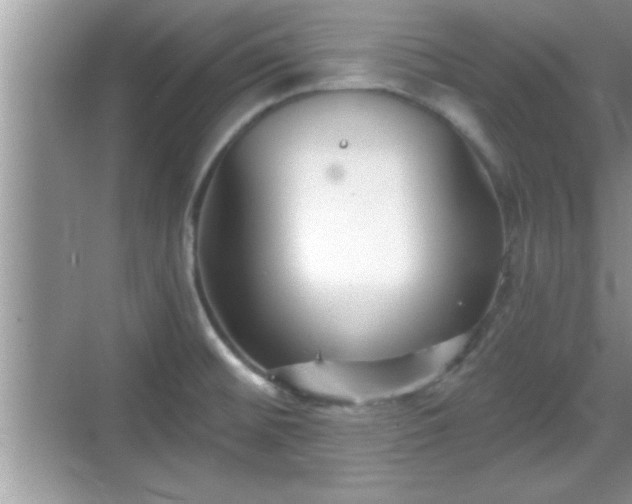 X0000069361476200605150904