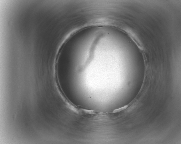 X0000069361477200605150904