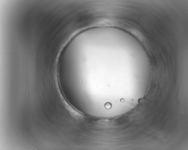 X0000069361478200605150903