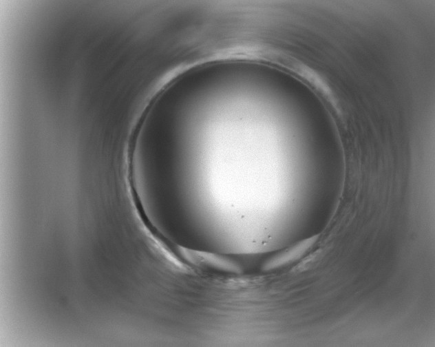 X0000069361480200605150903