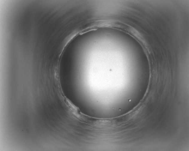 X0000069361481200605150903