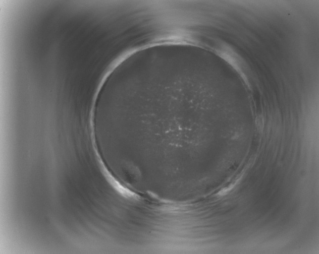 X0000069361482200605150903