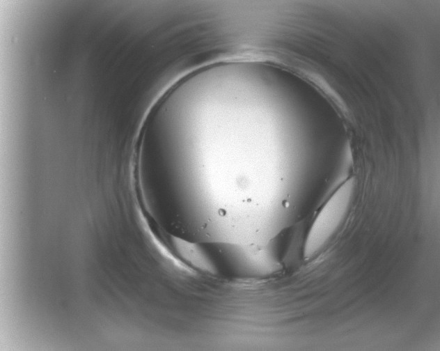 X0000069361484200605150903