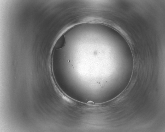 X0000069361486200605150903