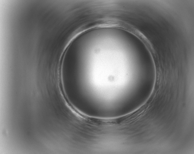 X0000069361487200605150903