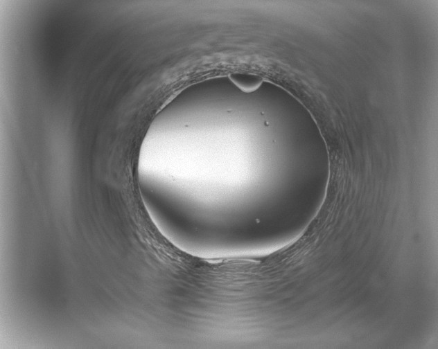 X0000069361489200605150903