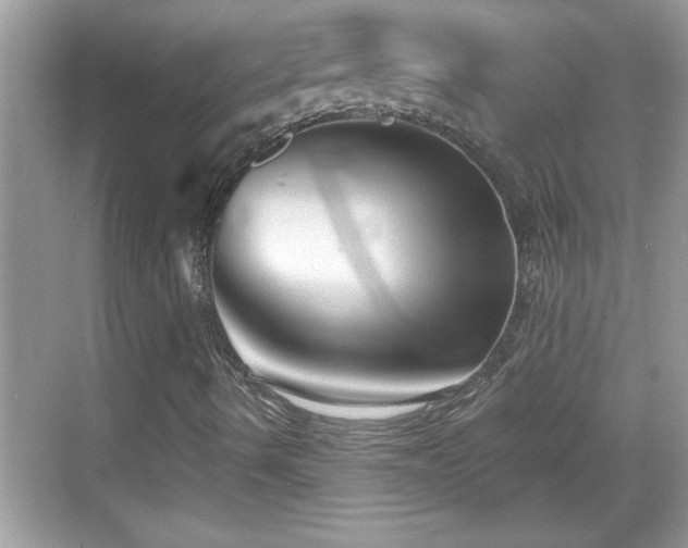 X0000069361490200605150903