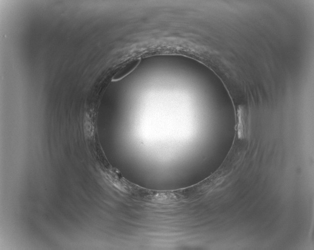 X0000069361491200605150903