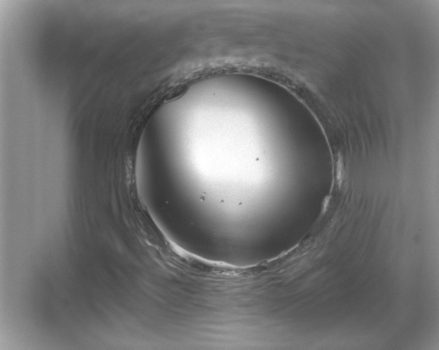 X0000069361492200605150903