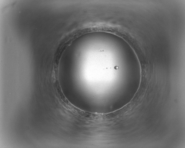 X0000069361493200605150903